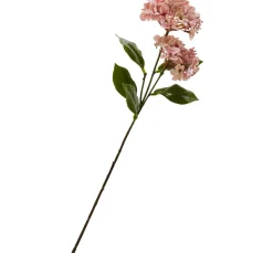 Clearance DPI Hortensie mit zwei Blüten