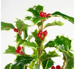 Hot DPI Ilex Zweig mit Beeren, 40 cm