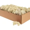 Sale Othmar Decorations Islandmoos, 400 g