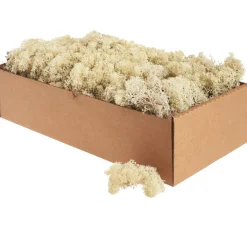 Sale Othmar Decorations Islandmoos, 400 g
