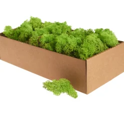 Sale Othmar Decorations Islandmoos, 400 g