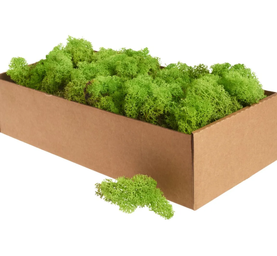 Sale Othmar Decorations Islandmoos, 400 g