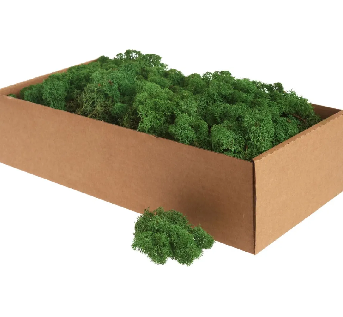 Sale Othmar Decorations Islandmoos, 400 g