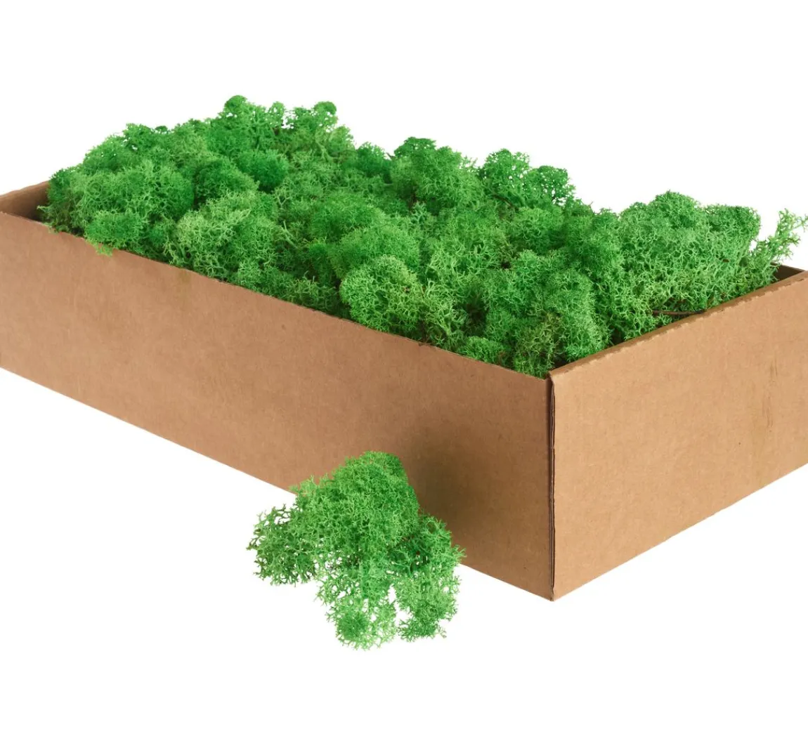 Sale Othmar Decorations Islandmoos, 400 g