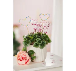 Online Rico Design itoshii Perlen-Set "Sterne" Pastell Matt