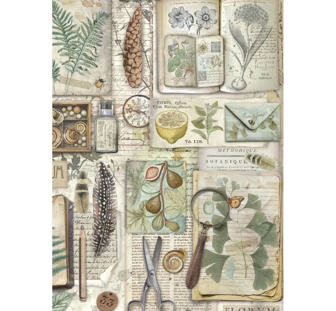 Hot Stamperia Junk Journal Book "Herbarium Silvae"