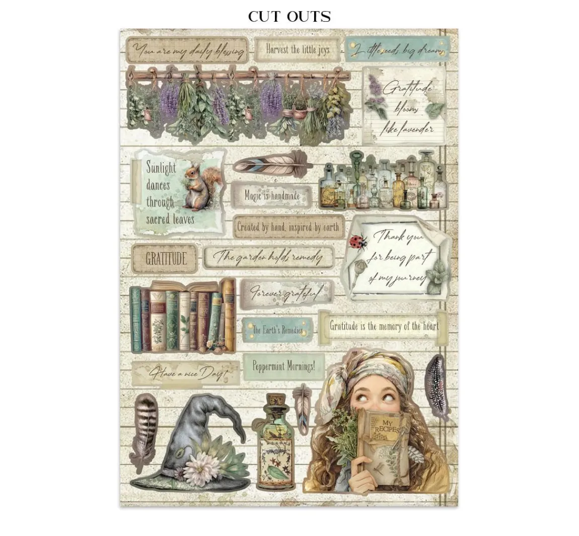 Hot Stamperia Junk Journal Book "Herbarium Silvae"