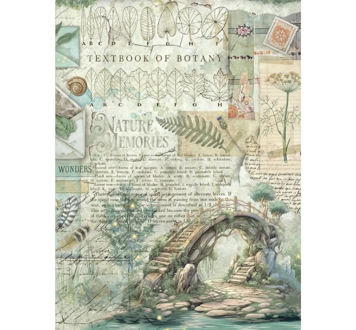 Hot Stamperia Junk Journal Book "Herbarium Silvae"