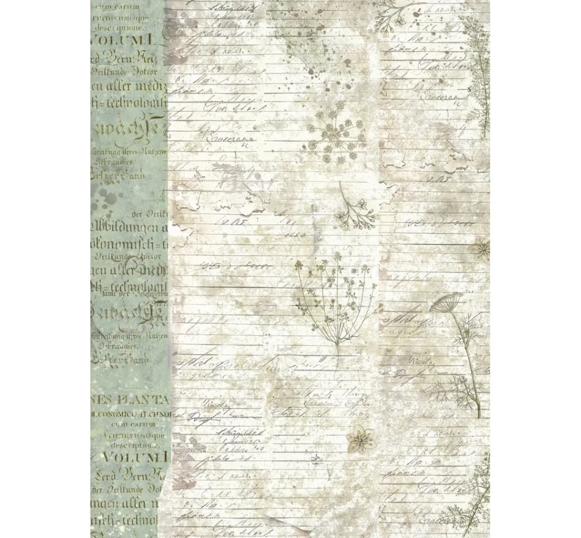 Hot Stamperia Junk Journal Book "Herbarium Silvae"