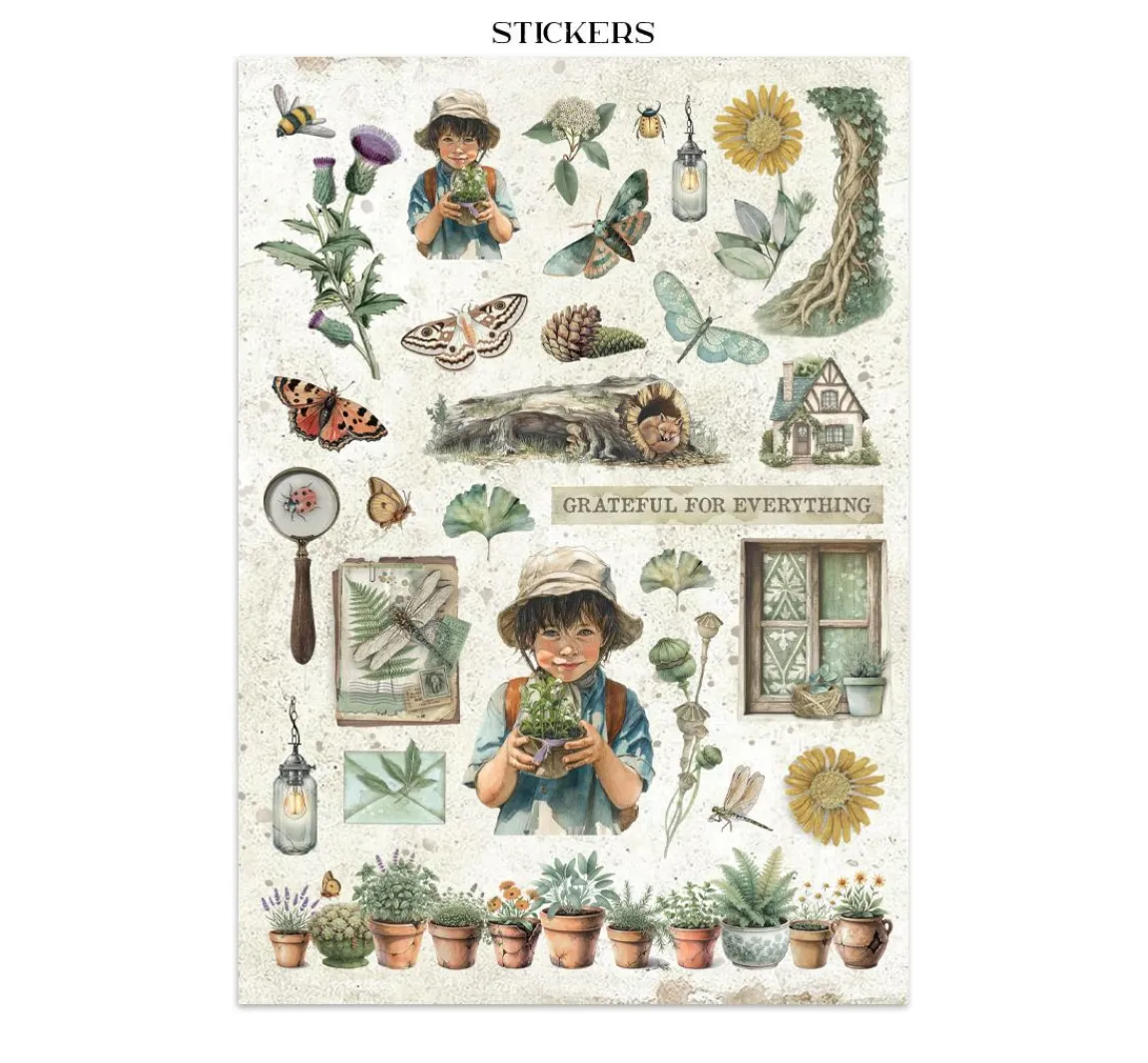 Hot Stamperia Junk Journal Book "Herbarium Silvae"