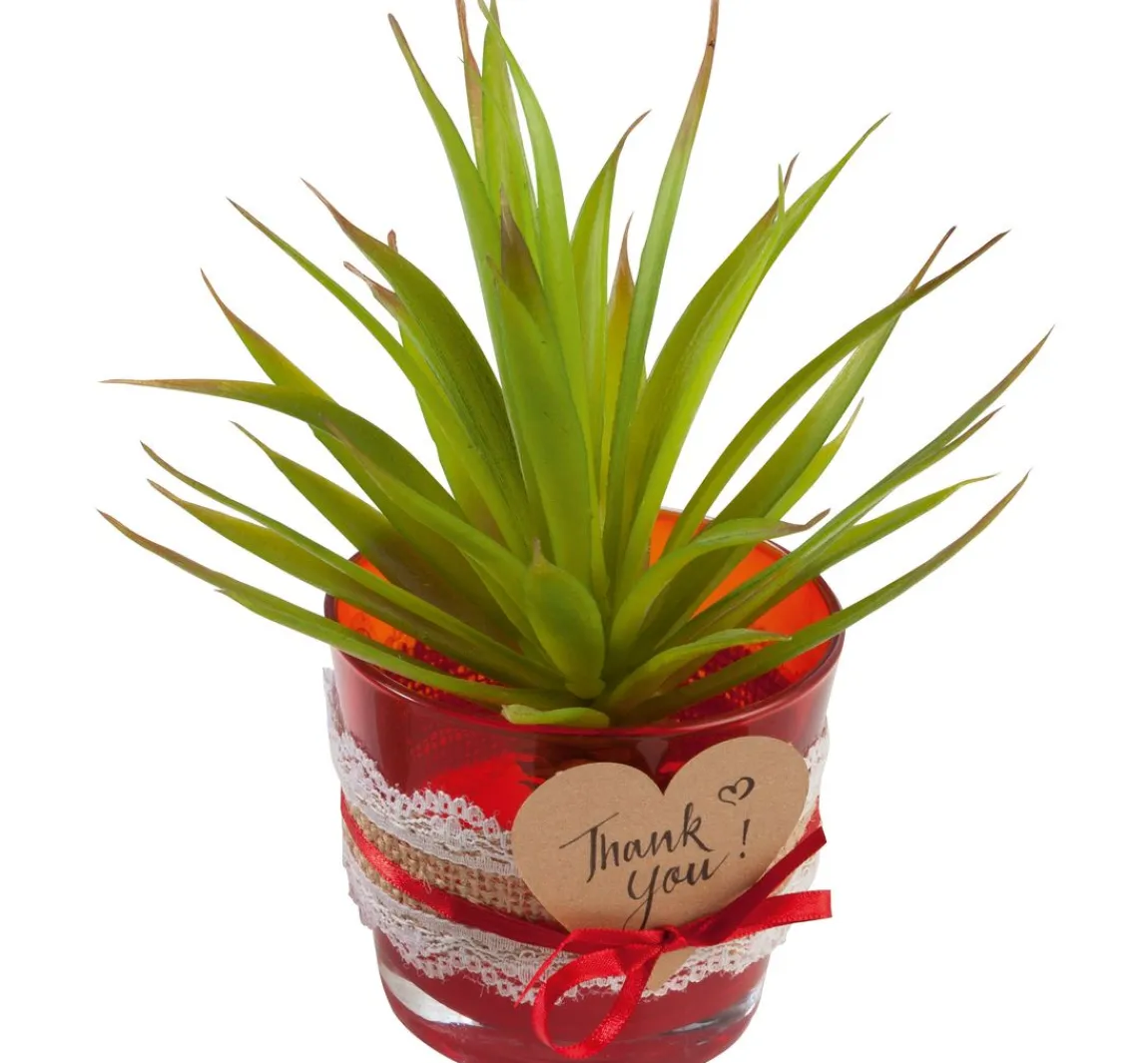 Sale folia Juteband mit Spitze