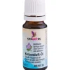 Online CREARTEC Kerzenduft-Öl, 10 ml