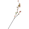 Best DPI Kirschblüten-Zweig "Peach"