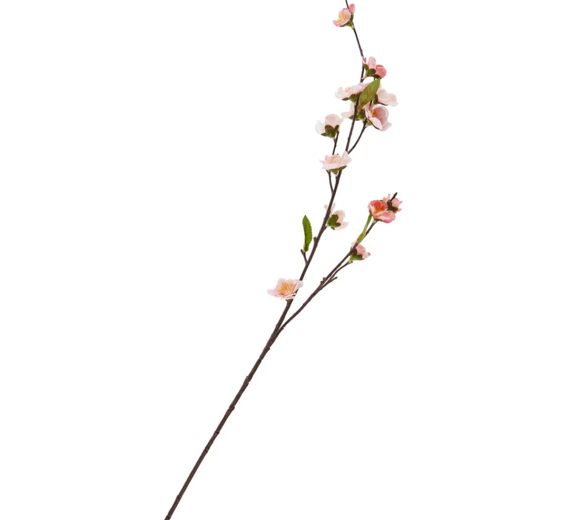 Best DPI Kirschblüten-Zweig "Peach"