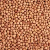 Sale VBS Kirschkerne 500g