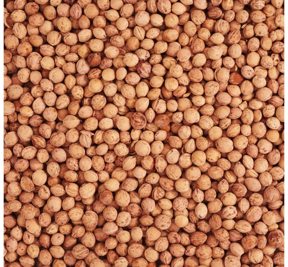 Sale VBS Kirschkerne 500g