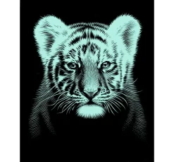 Online Mammut Kratzbild "Tigerbaby"