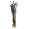 Clearance VBS Lavendel natur blau
