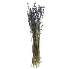 Clearance VBS Lavendel natur blau