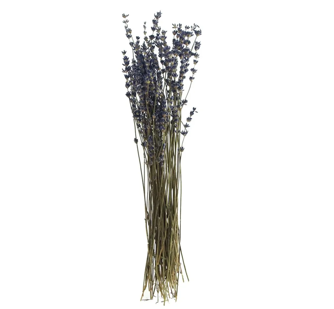 Clearance VBS Lavendel natur blau