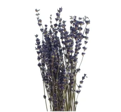 Clearance VBS Lavendel natur blau