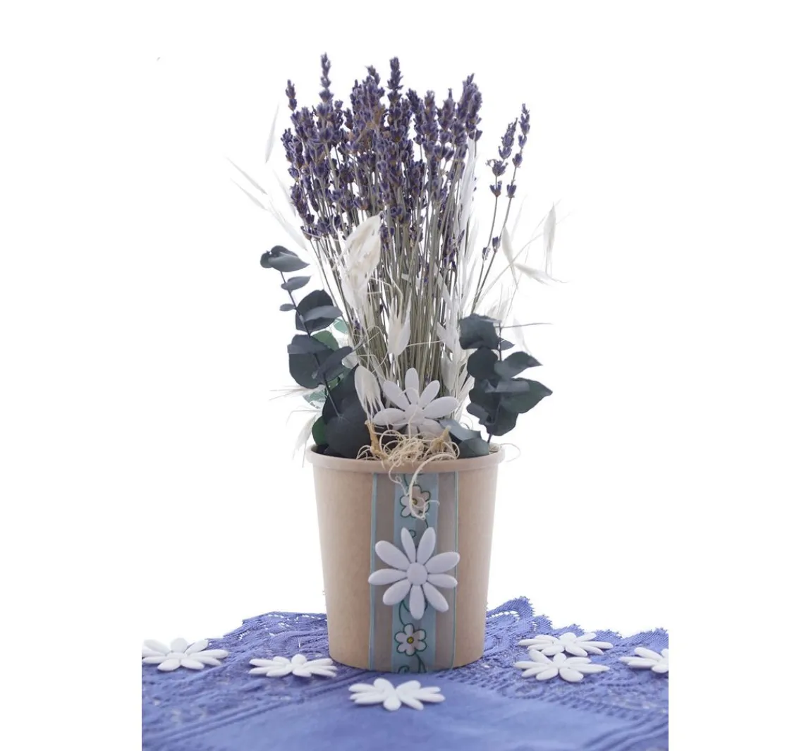 Clearance VBS Lavendel natur blau