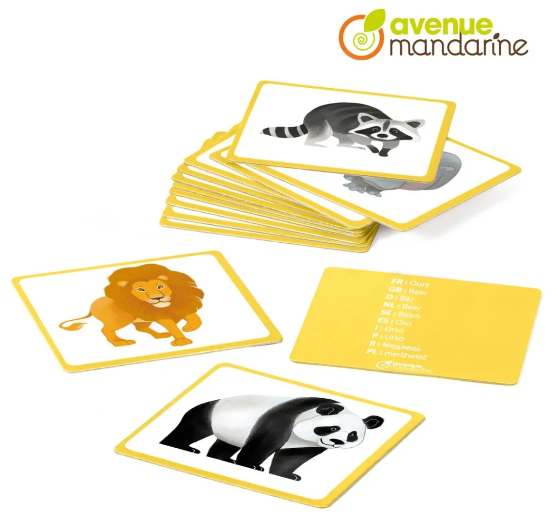 Clearance My Mandarine Lernspiel Bildkarten "Wildtiere"