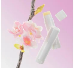 Outlet GLOREX Lippenstift-Hülsen