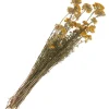 Clearance ohne Marke Lona natur gelb