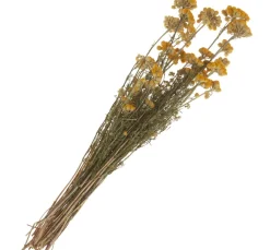Clearance ohne Marke Lona natur gelb
