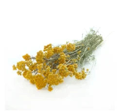 Clearance ohne Marke Lona natur gelb