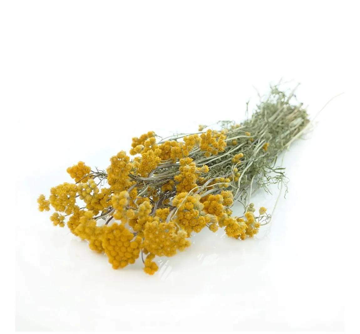 Clearance ohne Marke Lona natur gelb
