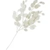 DPI Lunaria Zweig mit Glitzer