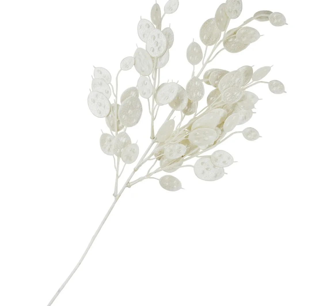 DPI Lunaria Zweig mit Glitzer