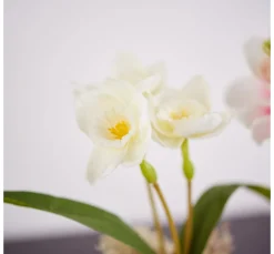 Clearance DPI Magnolien-Pick mit 3 Blüten