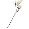 Sale DPI Magnolien-Pick mit 6 Blüten