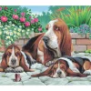 Sale Mammut Malen nach Zahlen "Bassethunde"