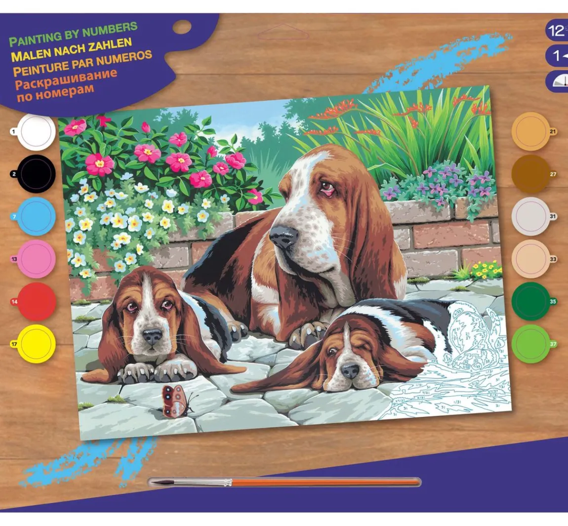 Sale Mammut Malen nach Zahlen "Bassethunde"