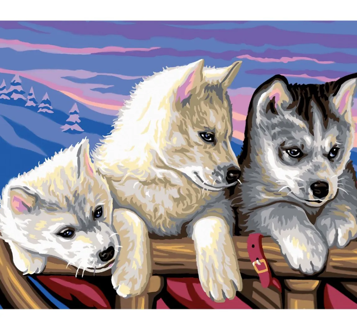 Clearance Mammut Malen nach Zahlen "Huskies"