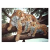 Sale Royal Langnickel Malen nach Zahlen "Leoparden"