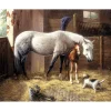 Online Royal Langnickel Malen nach Zahlen "New Friends"