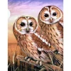 Best Royal Langnickel Malen nach Zahlen "Tawny Owls", 22 x 30 cm