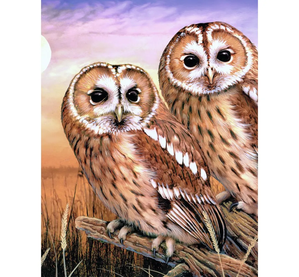 Best Royal Langnickel Malen nach Zahlen "Tawny Owls", 22 x 30 cm