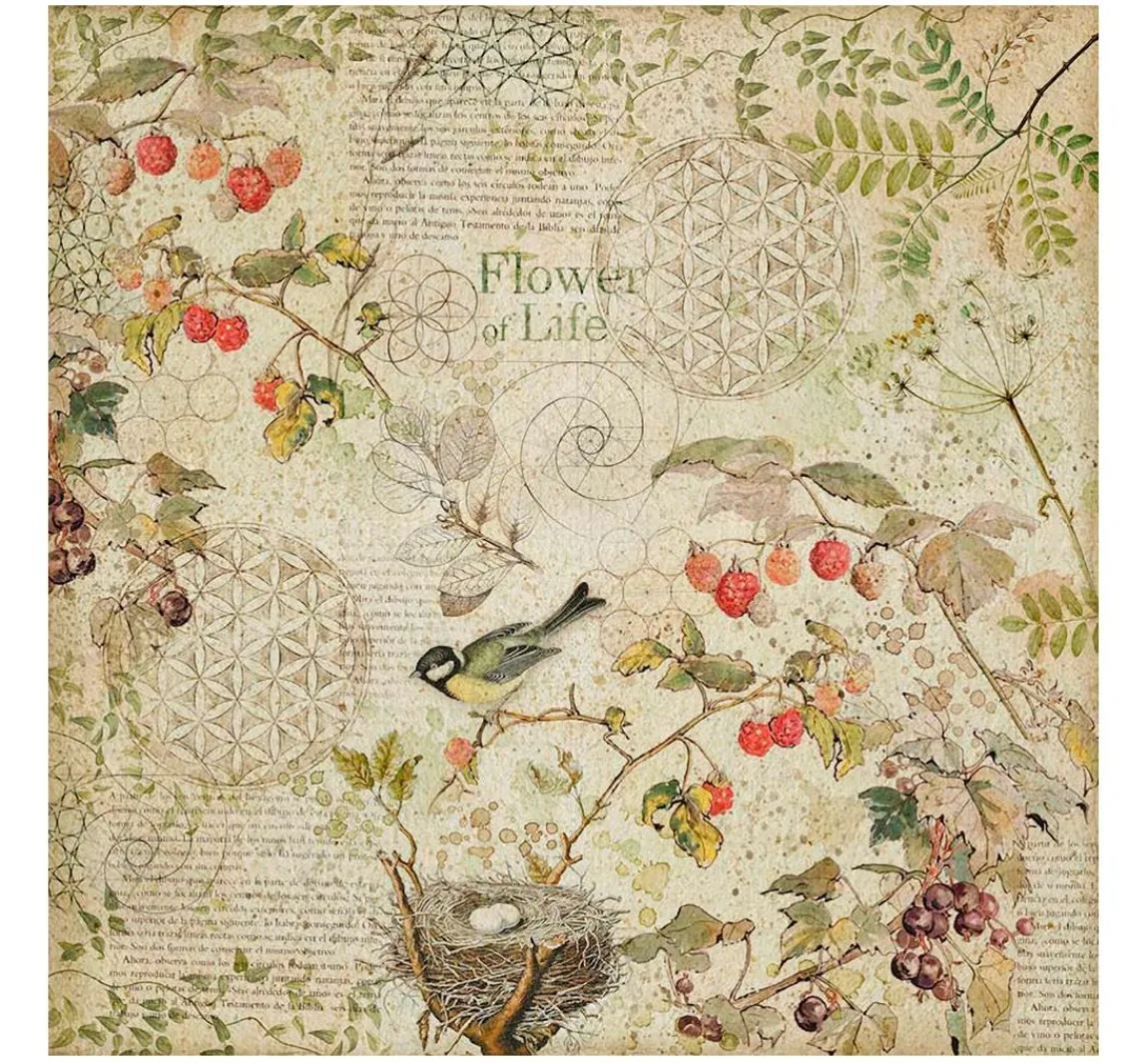 Hot Stamperia Maxi Scrapbook-Block "Forest"