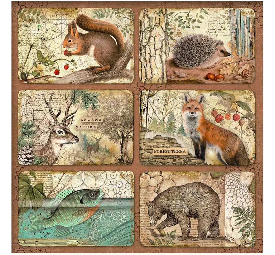 Hot Stamperia Maxi Scrapbook-Block "Forest"