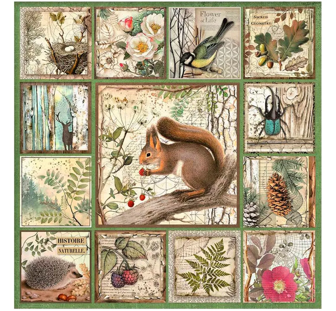 Hot Stamperia Maxi Scrapbook-Block "Forest"