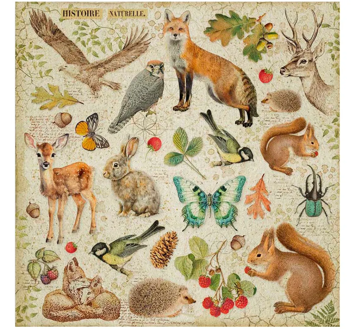 Hot Stamperia Maxi Scrapbook-Block "Forest"