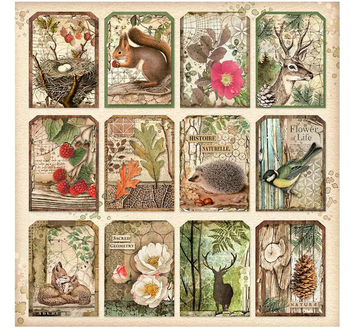 Hot Stamperia Maxi Scrapbook-Block "Forest"