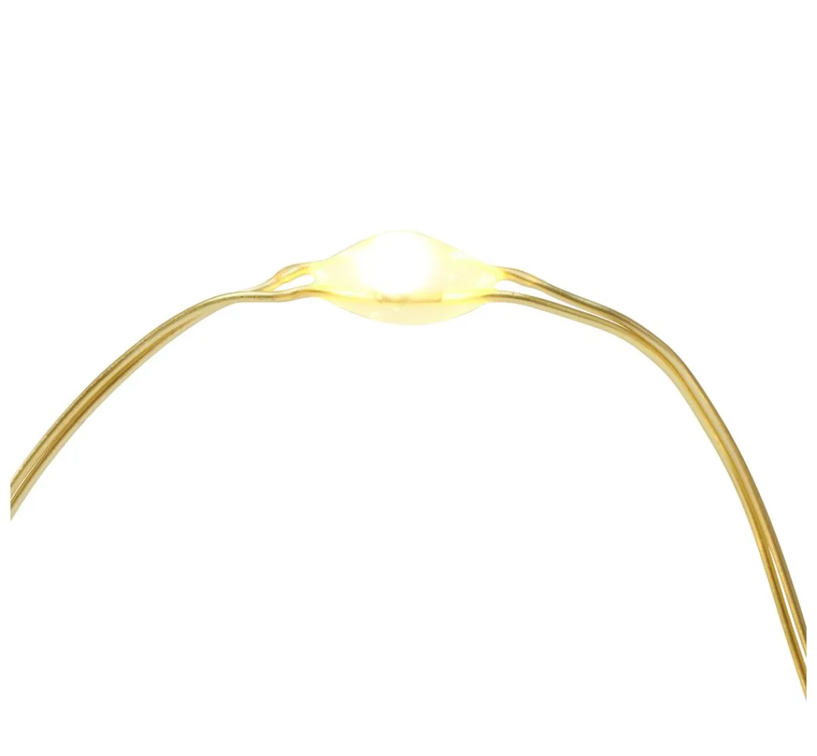 Best ohne Marke Micro-LED-Lichterkette, mit Timer, goldfarbener Draht, 20 LEDs