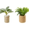 Online HobbyFun Miniatur-Set "Zimmerpflanzen"